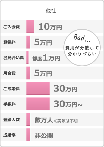 Bad... 費用が分散して分かりづらい